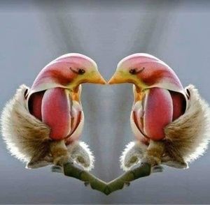 Meet your Posher, Cathy